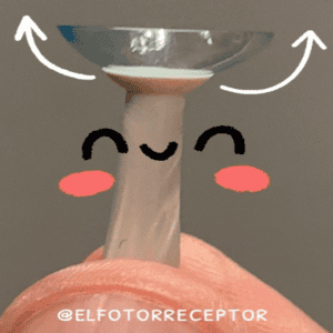 Lentes de contacto blandos (córnea regular)